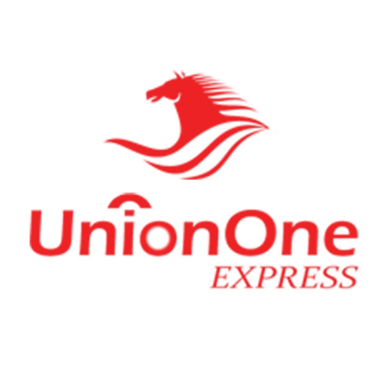 Delivering smiles through our online shopping and courier services both locally and internationally. #UnionOneExpress