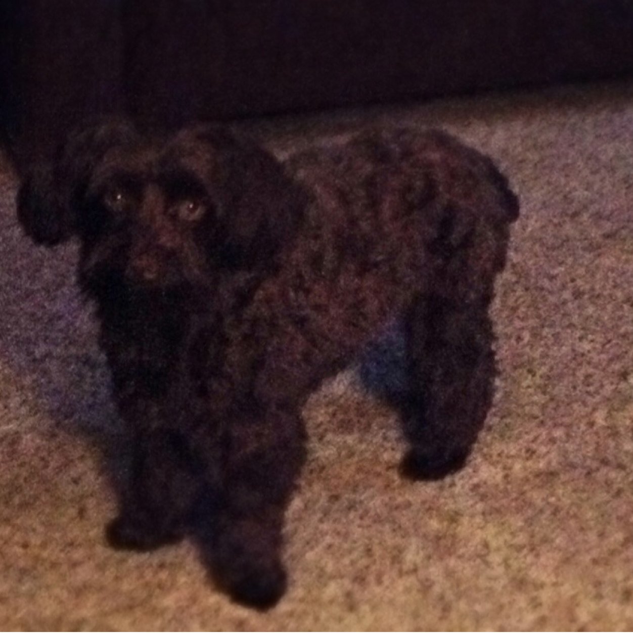 hardyman58's profile picture. I am superintendent at Elliot G.C. With the Rockford Park District in Rockford, IL.