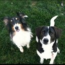 Mallory Grubb - @Grubb2Grubb - Twitter