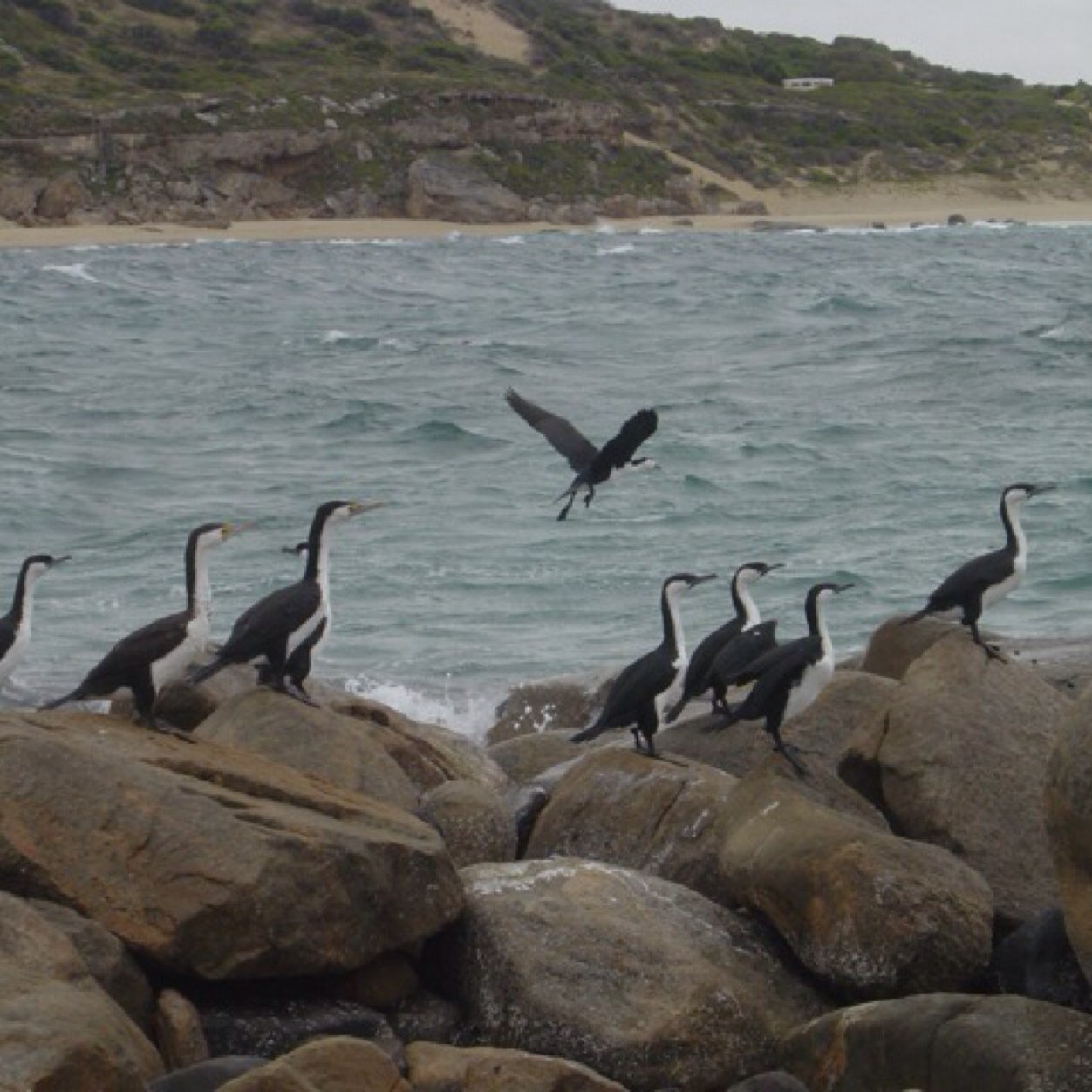 Roaming South Australia, sharing stories to inspire your travels. Come see this colourful state!