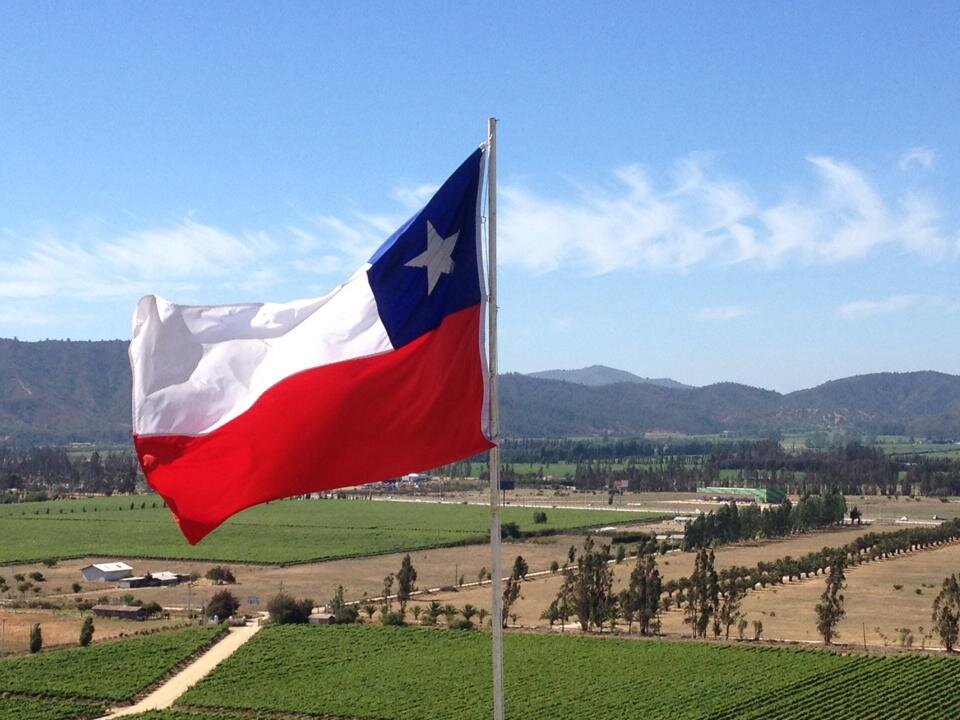 Personalised Bilingual Wine Tours in Santiago's beautiful surrounding valleys