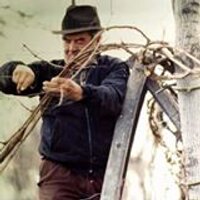 Tenuta La Piccola (@tenutalapiccola) 's Twitter Profile