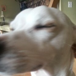 PreppersWin's profile picture. Prepping tips without the doom and gloom.