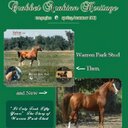 Angela Latimer - @CrabbetArabians - Twitter