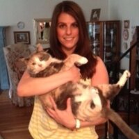 Catsaregr823 (@catsaregr823) 's Twitter Profile