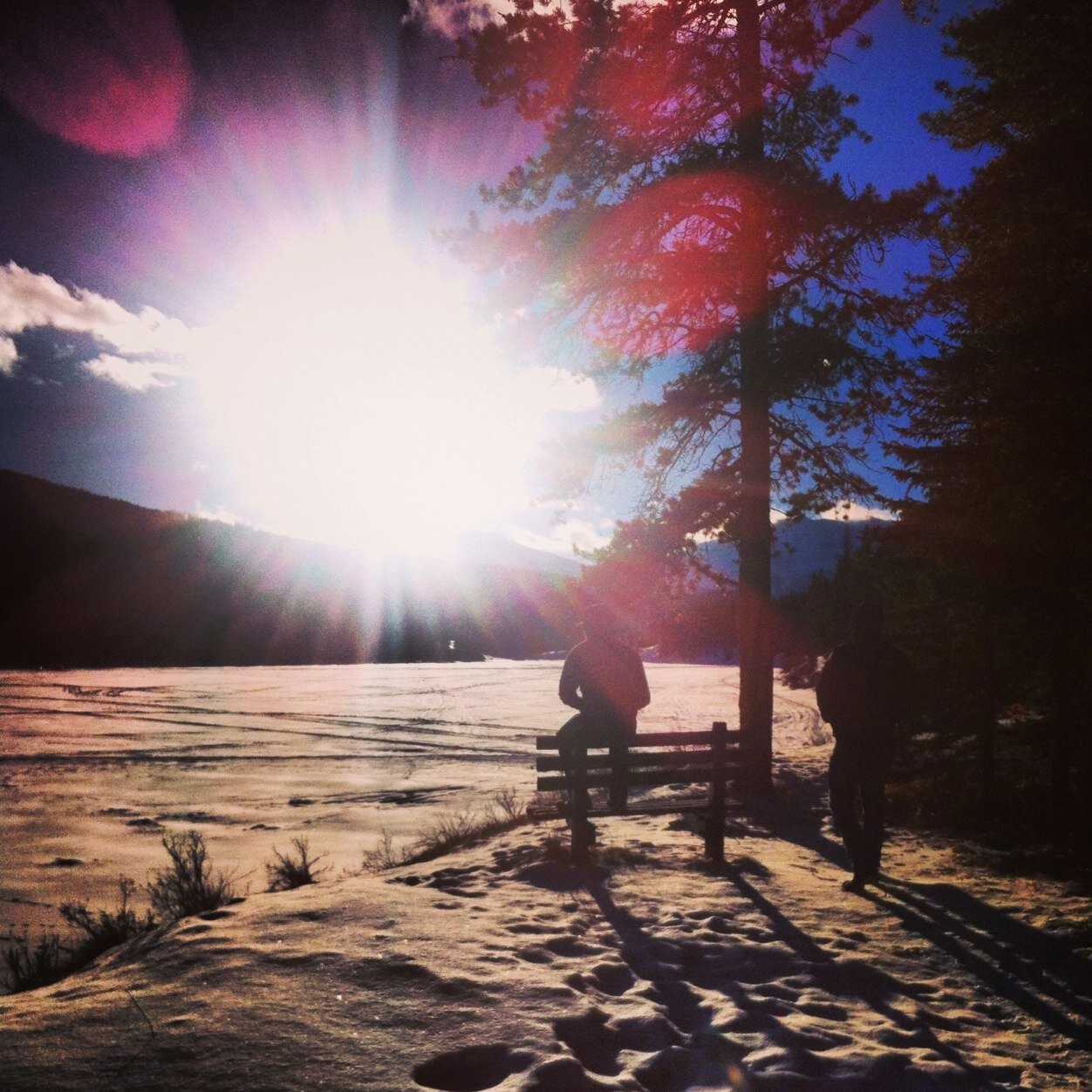 BrettSimmelink's profile picture. 