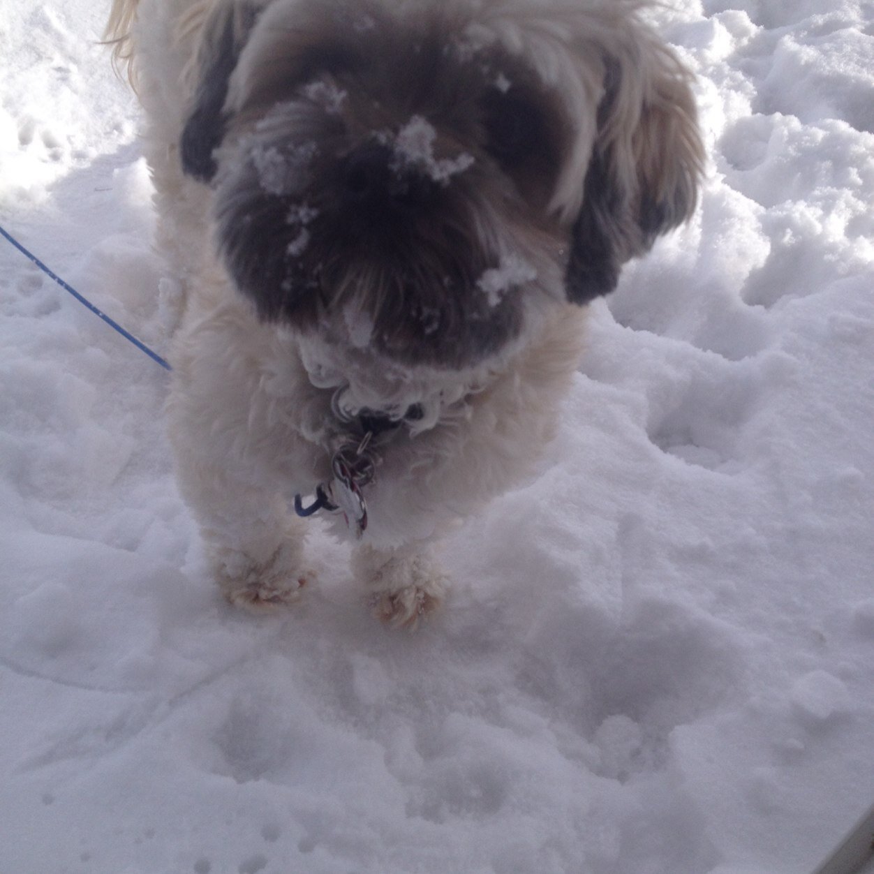 Oven_oil's profile picture. 