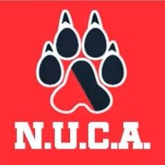 We are Northeastern University Cricket Club - #NewEngland's No. 1 Cricket Club since 2012. Proud member of @CollegeCricketU https://t.co/8kutLbL7Rw