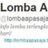 lombaapasaja's profile image