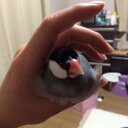 PTYusuke (@58_cb) Twitter