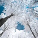 Josh Grissom - @Goldps - Twitter