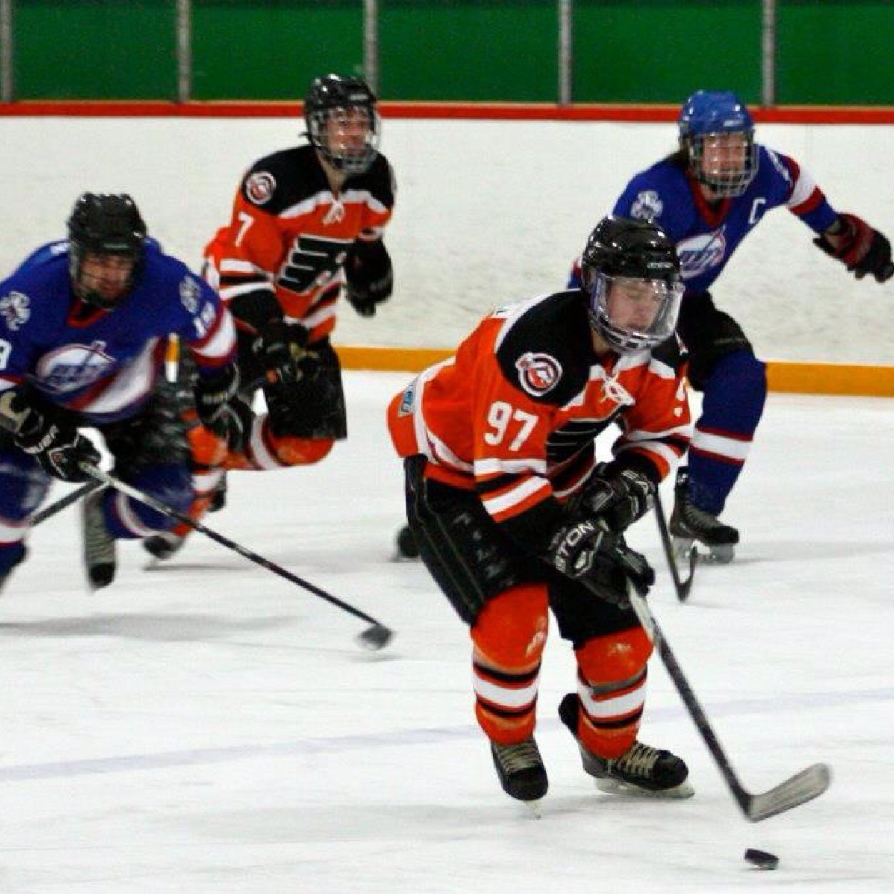 timmytish31's profile picture. 