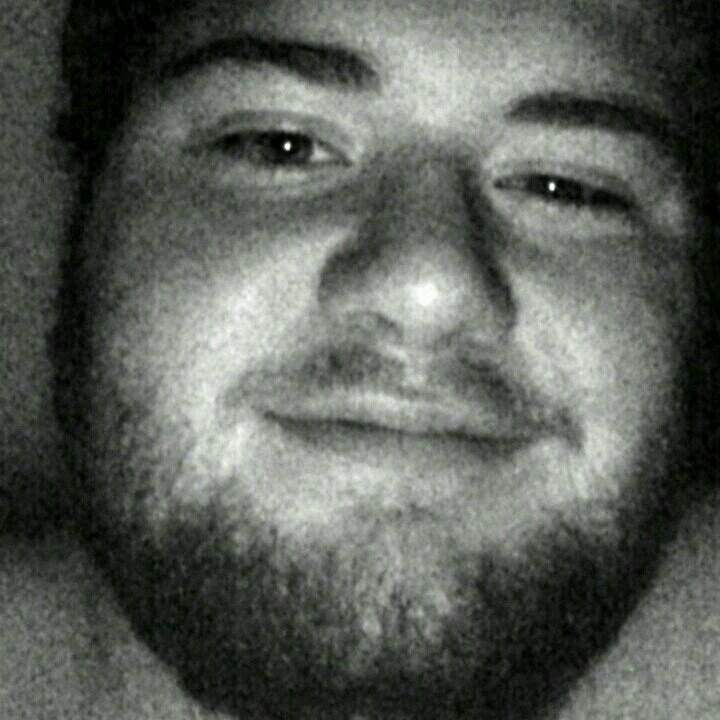 ImLogibear's profile picture. 