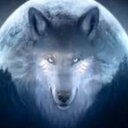 Wolfie (@1972Wolfie) Twitter