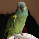 Jon Pease - @Jondpease - Twitter