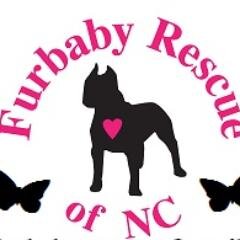 A 501c3 nonprofit, rescuing, rehabilitating and rehoming the abandoned, abused,neglected and sick/injured animals of NC.
