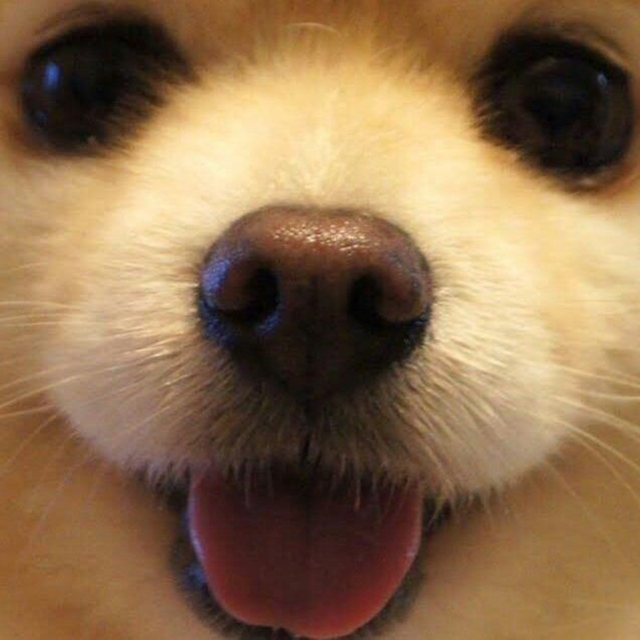 そら まりこさんのプロフィール画像