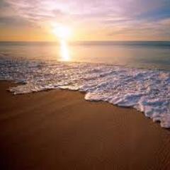 sara_3198's profile picture. 