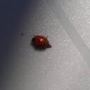 Suzanne Olney - @suzolney - Twitter