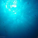 Caleb Tsang - @caleb_oops - Twitter