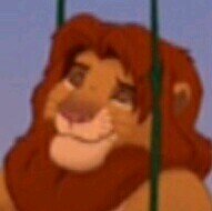 I live the Hakuna Matata life with @kissarmylover, @Rosie_Wild_Dog, Timon and Pumbaa . And I'm (technically) King of Pride Rock. #Taken by @withthewind01