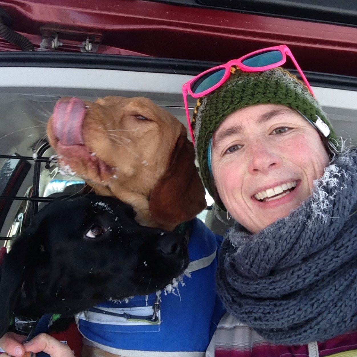 ames_liz's profile picture. Habs fan, dog owner, Forest Engineer (UNB ‘02 Varsity soccer), mother, lover of cheese, dabbles in fitness, budding hockey star. Treaty 6. She/her.