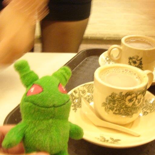 ohbleeps's profile picture. Tree-hugger. Mushroom. Alien