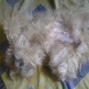 Bubbles - @pat_chu_tsay - Twitter