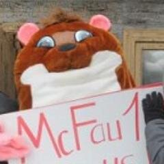 mimotavr's profile picture. инжа электрик/ связист