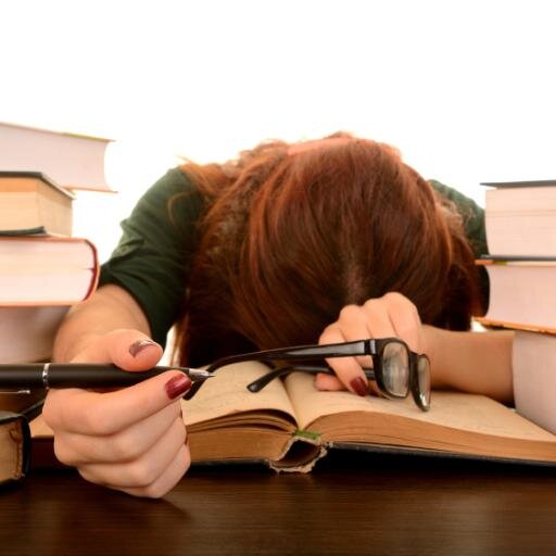 TheGraceFeldman's profile picture. Hi I've a cat named Morgott & I'm a daughter scarred by Mother. Book: Milk, Turkey, and Neurosis: or, How Mother (Almost) Ruined My Life http://t.co/JqZHBNMysE