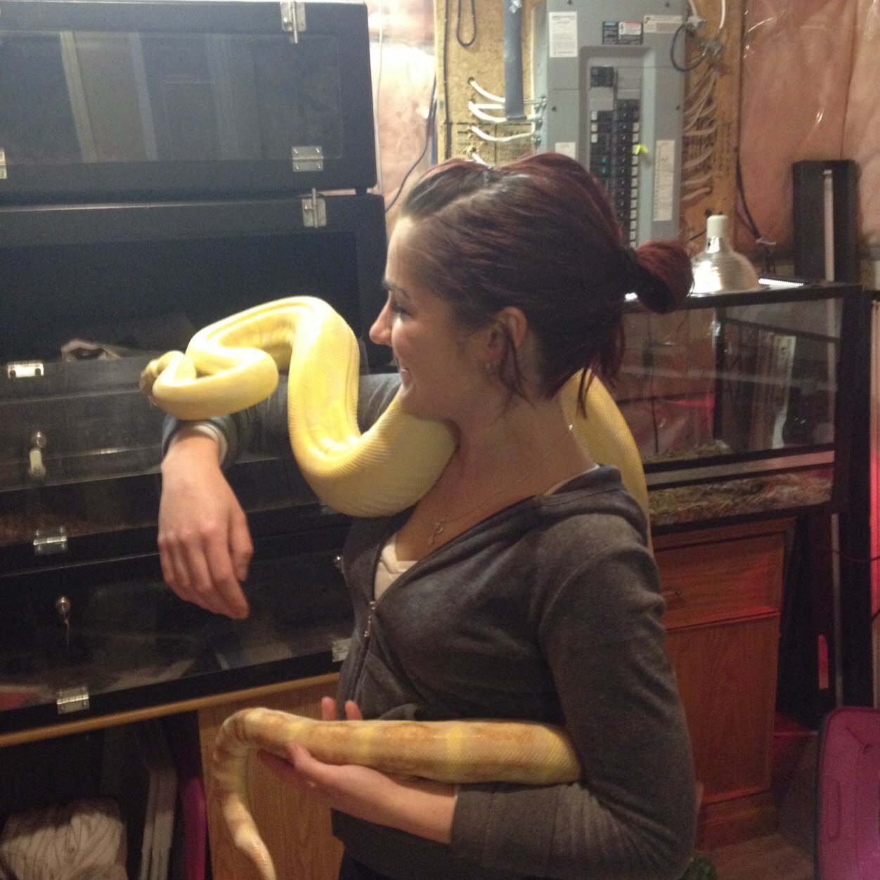 CassyNovah's profile picture. IG - AnitaMillie