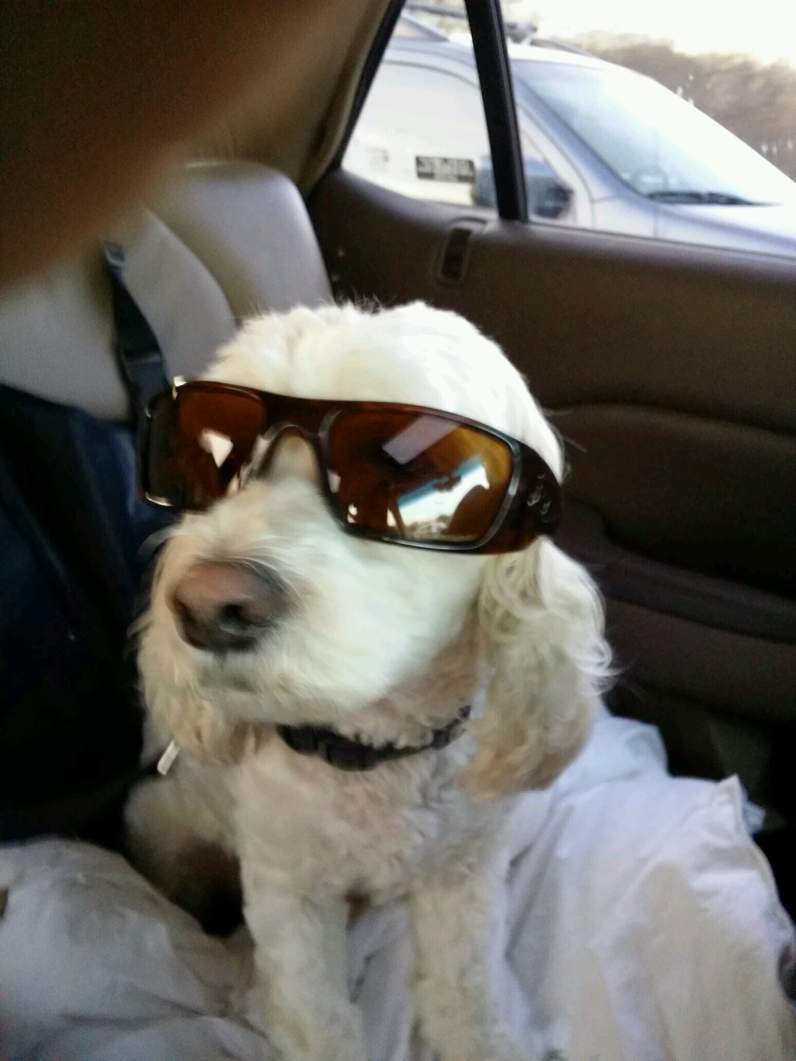 ghilsdc's profile picture. 