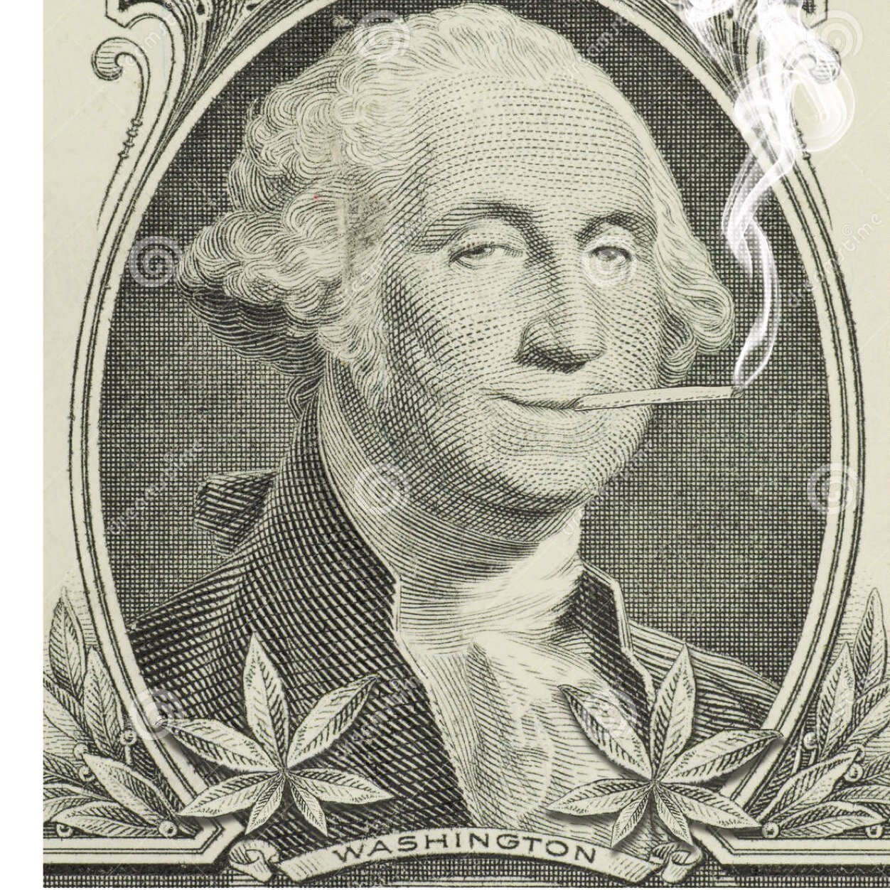 ___1st prez of the U.S.FUCKING.A.____ __________Fuck i'm wasted____________ Email my.main.nig.george@gmail.com for inquiries/suggestions