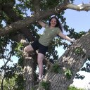 Lisa Maloney - @akwriter - Twitter
