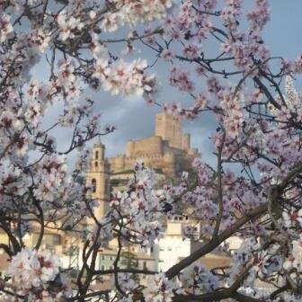 Descubre Biar, disfrutarás cultura y naturaleza. Recorre nuestras calles, visita su castillo y siente su historia. Pasea sus senderos y vive su montaña.