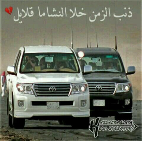 noor1234199's profile picture. 