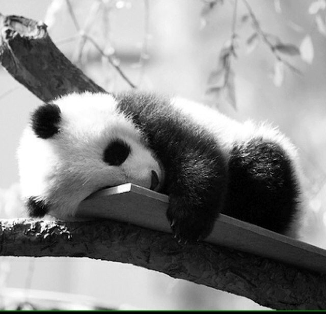 Csq_edYsq_ed's profile picture. 