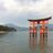 Mary_Jelen's profile image