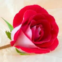 I am  working in chennai and my native place vellore