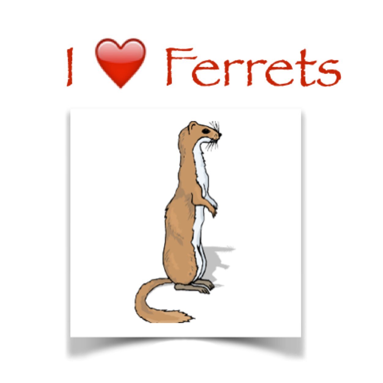 For Crazy Ferret people everywhere,visit our online shop and like us on Facebook!