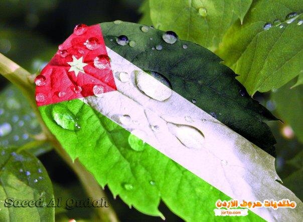 JabeurAbdallah's profile picture. 