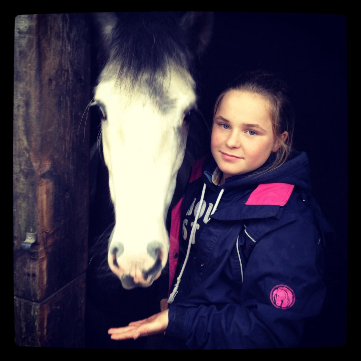 ❤️minstrel minty moo❤️zayn malik ❤️harry styles❤️horde riding ❤️football❤️