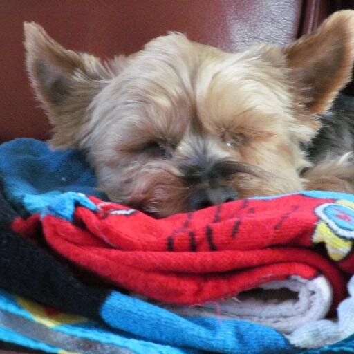 LeandaReeves's profile picture. 