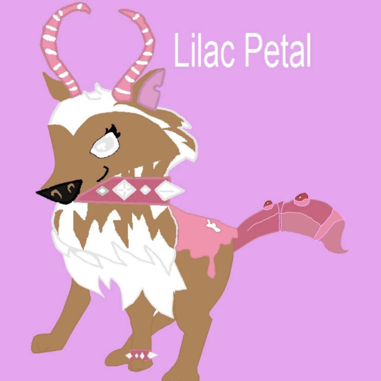 lilac petal and fman lilac petal and fman
