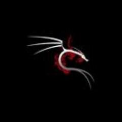 Freedom Fighter