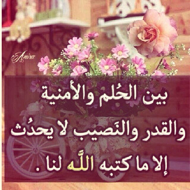 لاإله الا الله ..