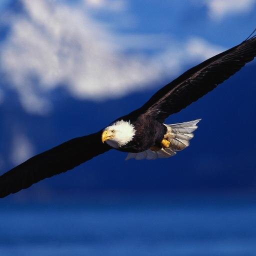 mustafa6k's profile picture. 