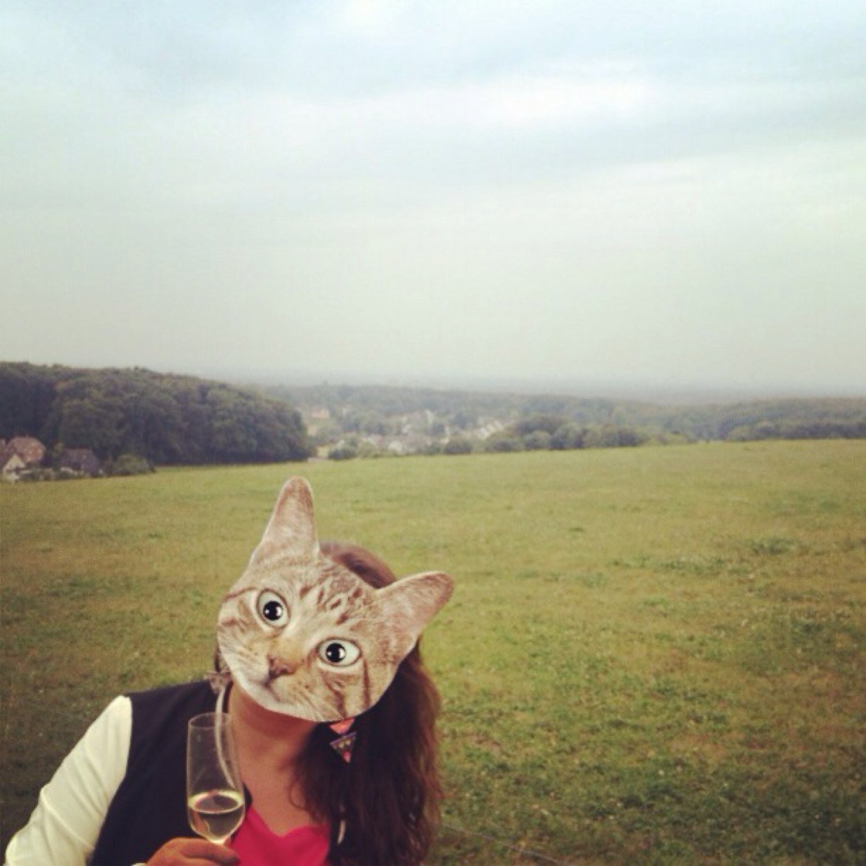 Sunaorlater's profile picture. 