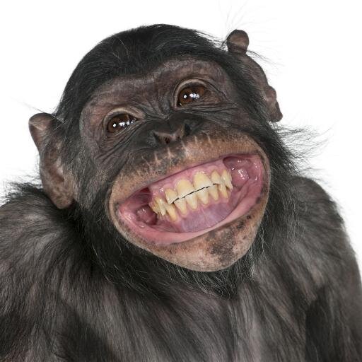 Resultado de imagen de imagenes de sonrisas