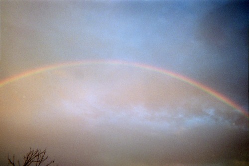 Livvie70's profile picture. 